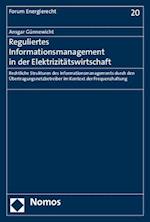 Reguliertes Informationsmanagement in Der Elektrizitatswirtschaft