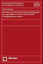 Rechtliche Und Strukturelle Rahmenbedingungen Der Jugendhilfe Im Kontext Innerfamiliarer Totungsdelikte an Kindern