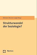 Strukturwandel Der Soziologie?