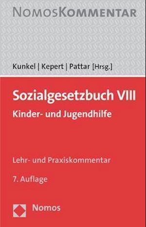 Sozialgesetzbuch VIII