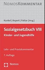 Sozialgesetzbuch VIII