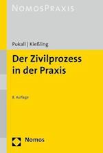 Der Zivilprozess in Der Praxis