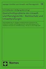 Querschnittsprobleme Des Umwelt- Und Planungsrechts - Rechtsschutz Und Umweltprufungen