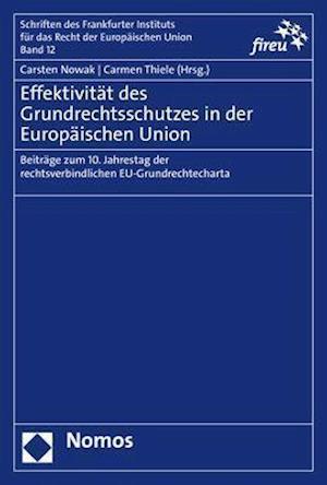 Effektivität des Grundrechtsschutzes in der Europäischen Union