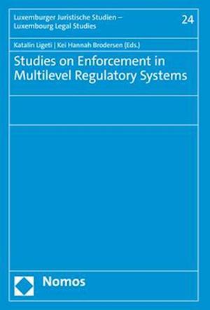 Studies on Enforcement in Multilevel Regulatory Systems