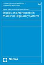 Studies on Enforcement in Multilevel Regulatory Systems