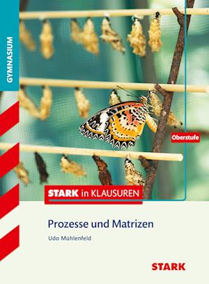 Stark in Klausuren - Mathematik Stochastische Prozesse