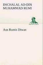 Aus Rumis Diwan