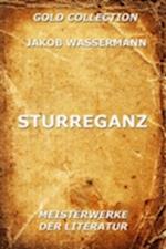 Sturreganz