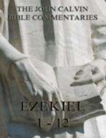 John Calvin's Commentaries On Ezekiel 1- 12