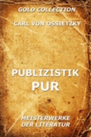 Publizistik Pur