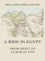Ride in Egypt
