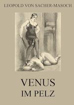 Venus im Pelz