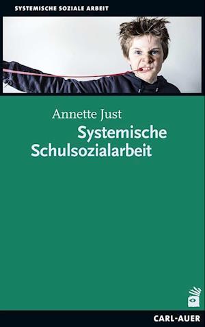 Systemische Schulsozialarbeit