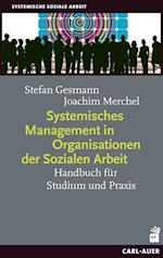 Systemisches Management in Organisationen der Sozialen Arbeit