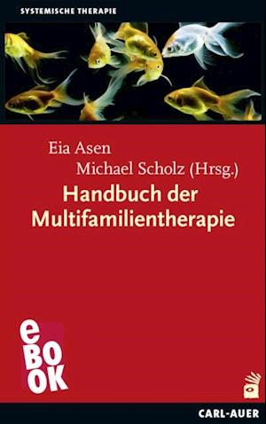 Handbuch der Multifamilientherapie