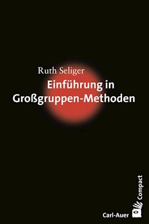 Einführung in Großgruppen-Methoden