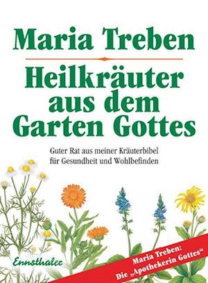 Heilkräuter aus dem Garten Gottes