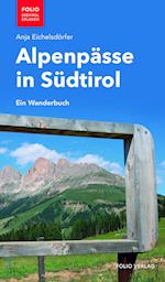 Alpenpässe in Südtirol