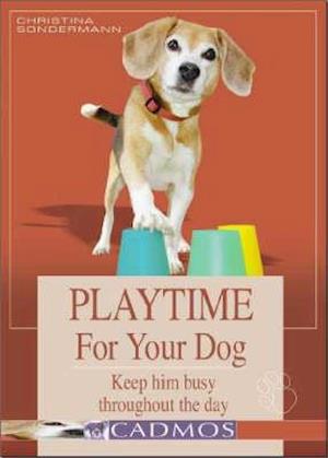 Playtime for Your Dog