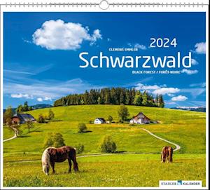 Schwarzwald 2024