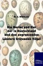 Die Nester und Eier der in Deutschland und den angrenzenden Ländern brütenden Vögel