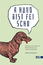 A Hund bist fei scho