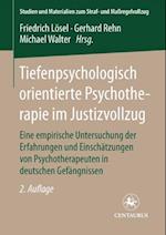 Tiefenpsychologisch orientierte Psychotherapie im Justizvollzug