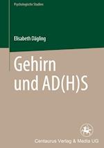 Gehirn und AD(H)S