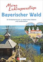 Meine Lieblingsausflüge im Bayerischen Wald: 30 Entdeckertouren zu malerischen Städten und Landschaften - Freizeitführer mit Wandern und Radeln im Nationalpark Bayerischer Wald und dem Dreiländereck