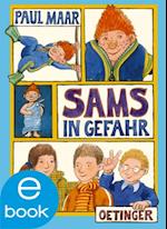 Das Sams 5. Sams in Gefahr