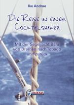 Die Reise in einem Cocktailshaker