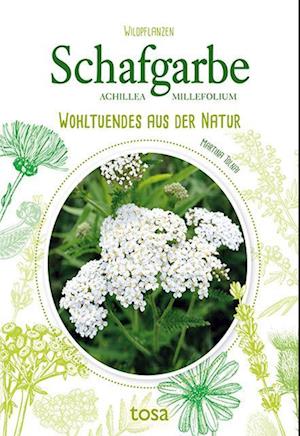 Schafgarbe