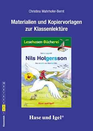 Nils Holgersson / Silbenhilfe Begleitmaterial