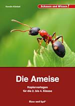 Die Ameise - Kopiervorlagen für die 2. bis 4. Klasse