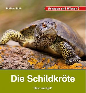 Die Schildkröte