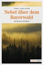 Nebel über dem Bayerwald