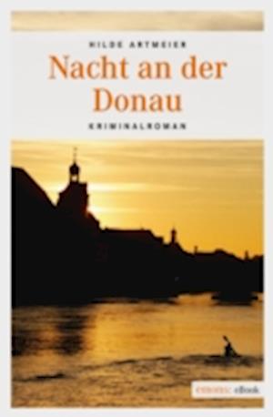 Nacht an der Donau