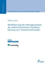 Modellierung des Abtragprozesses der elektrochemischen Senkbearbeitung von Triebwerksschaufeln