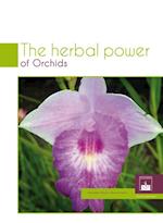 Herbal Power of Orchids