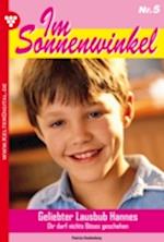 Im Sonnenwinkel 5 – Familienroman