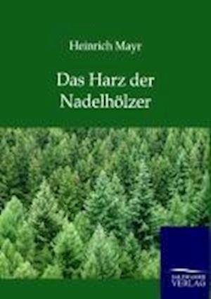 Das Harz Der Nadelhölzer