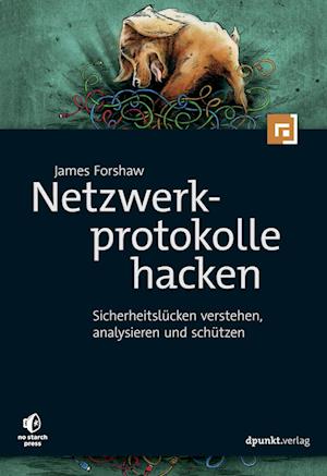 Netzwerkprotokolle hacken