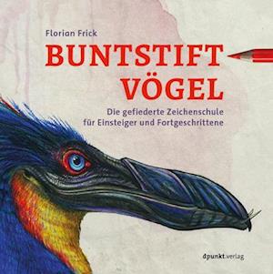 Buntstiftvögel