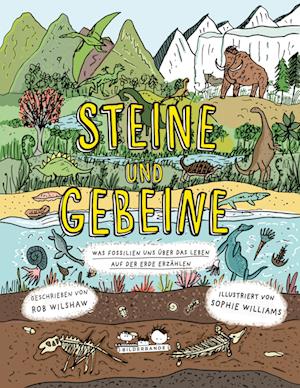 Steine und Gebeine