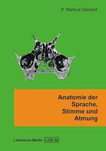 Anatomie der Sprache, Stimme und Atmung