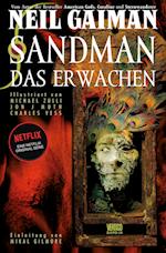 Sandman 10 - Das Erwachen
