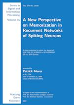 A New Perspective on Memorization in Recurrent Networks of Spiking Neurons