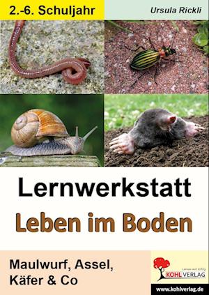 Lernwerkstatt Leben im Boden