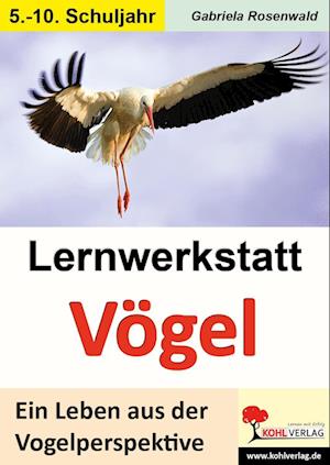 Lernwerkstatt Vögel Ein Leben aus der Vogelperspektive